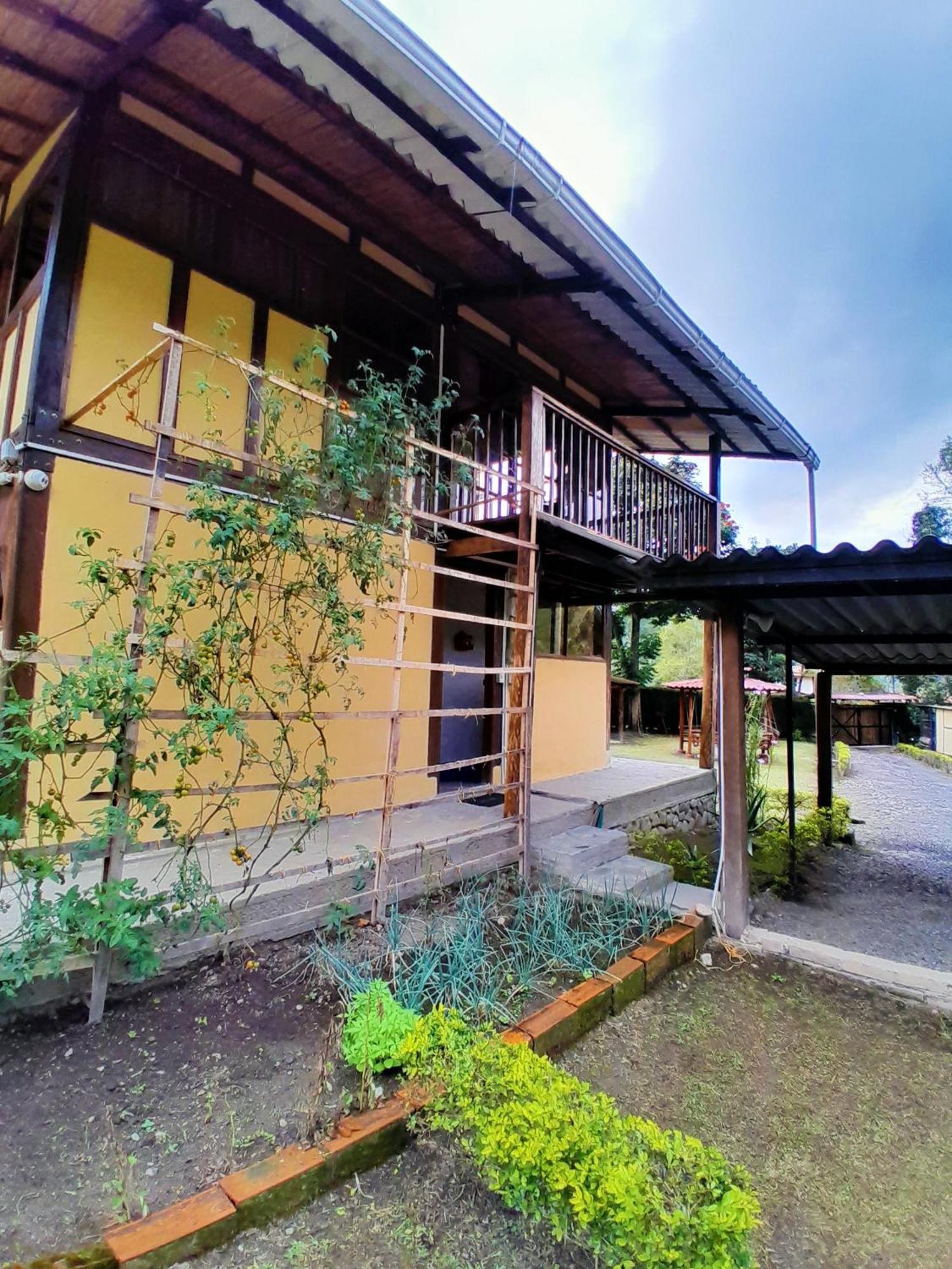 Casa Campo Valle De Cocora Salento Ngoại thất bức ảnh