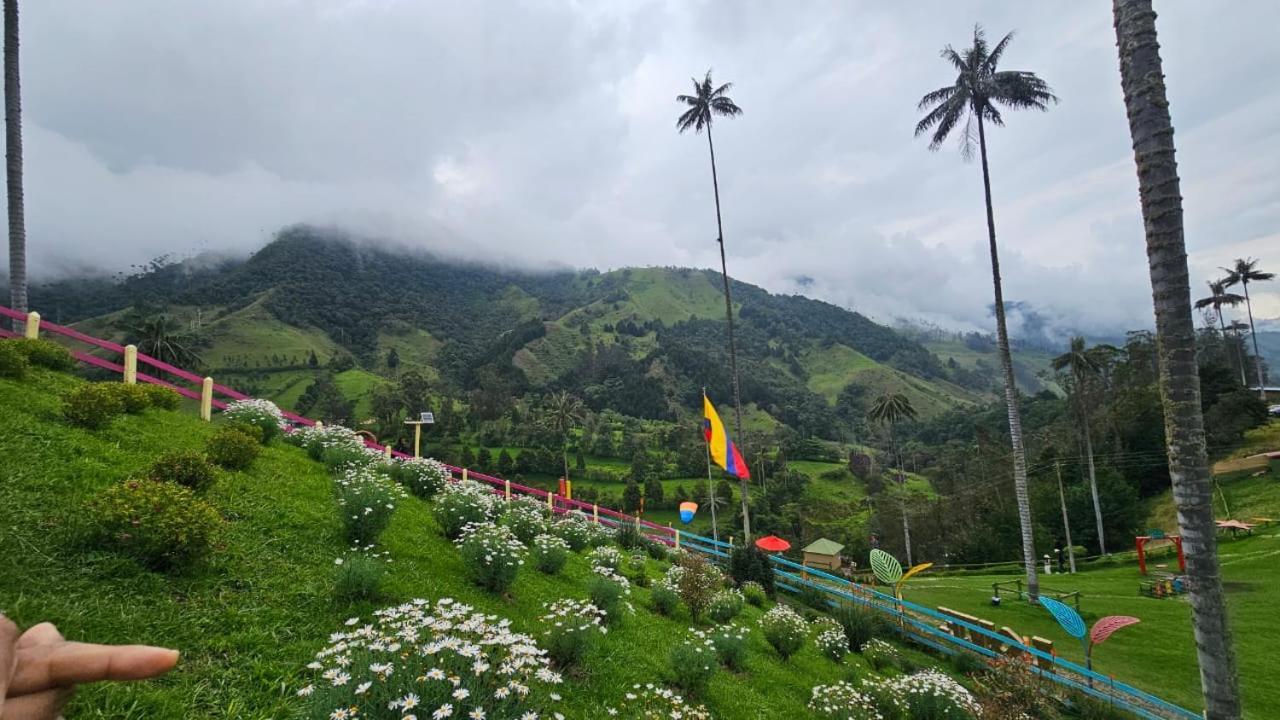 Casa Campo Valle De Cocora Salento Ngoại thất bức ảnh