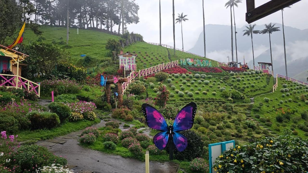Casa Campo Valle De Cocora Salento Ngoại thất bức ảnh